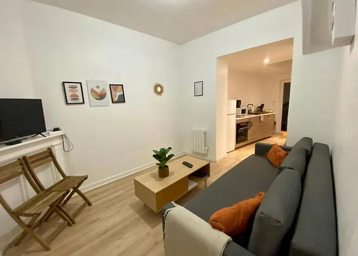 Apartment Acacia Terrasse*proche Centre-ville Et Chu